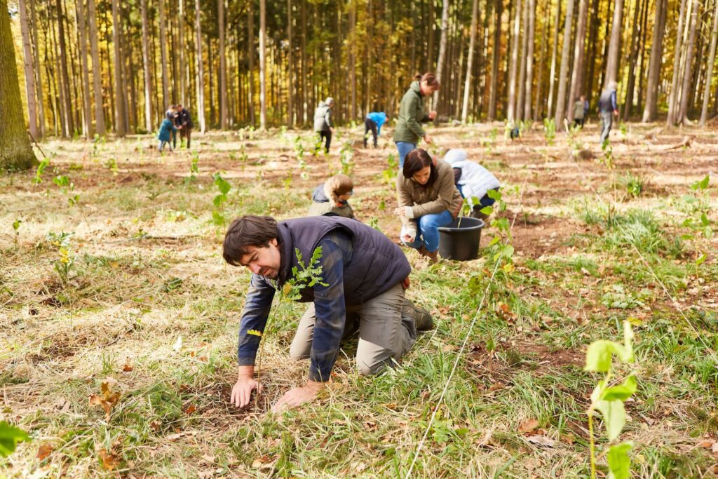 social impact for business
